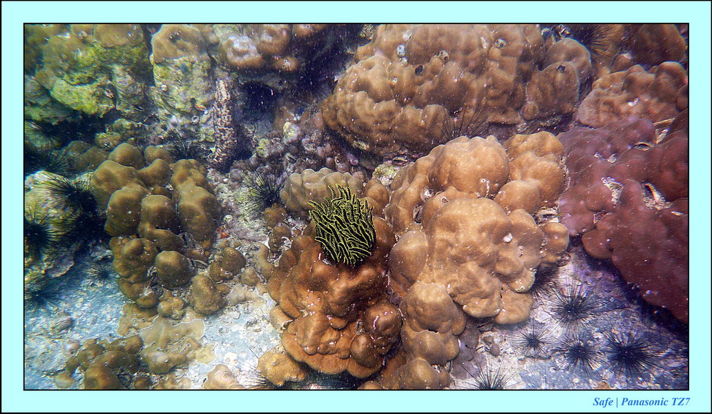 2011 - 07 - Koh Lipe 56